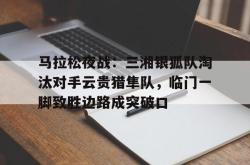 关于马拉松夜战:三湘银狐队淘汰对手云贵猎隼队,临门一脚致胜边路成突破口的信息-九游会在线入口